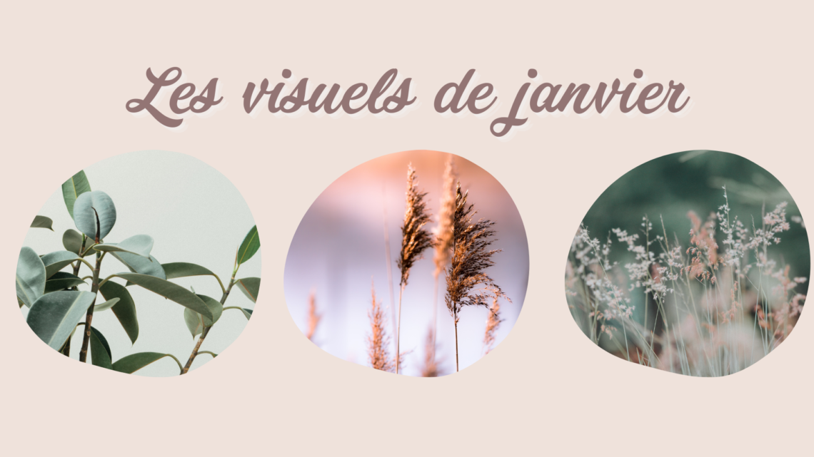 Fond d'écran et calendrier janvier 2021 - Ralitsa Dimitrova Fond d'écran et calendrier janvier 2021 - Ralitsa Dimitrova